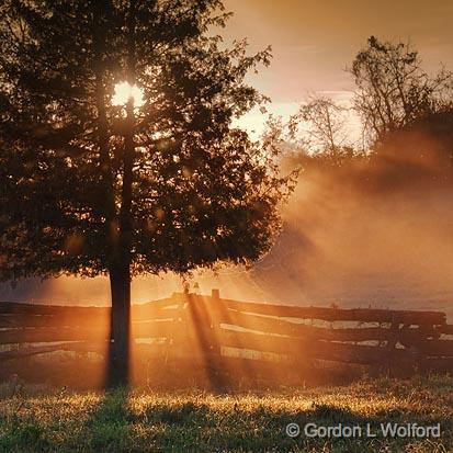 Misty Sunrays_08432.jpg - Photographed near Carleton Place, Ontario, Canada.